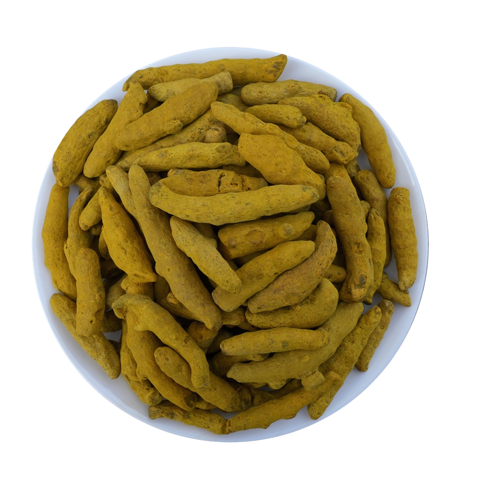 Turmeric