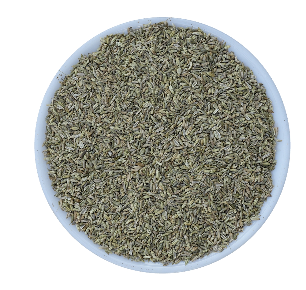 Fennel